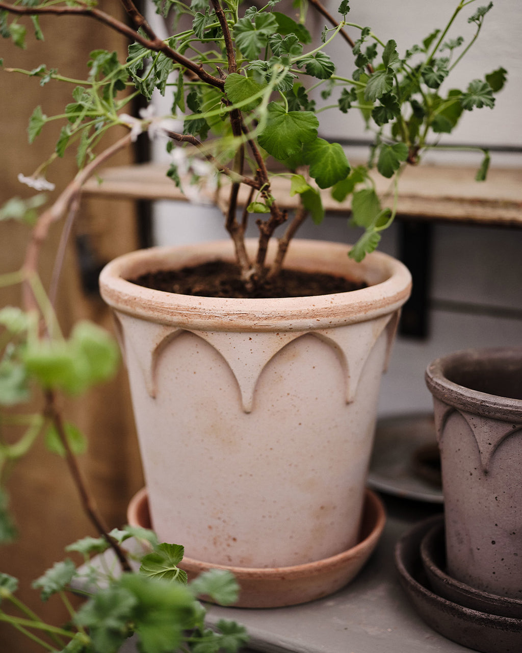 Bergs Potter Elizabeth Pot Rosa Terracotta