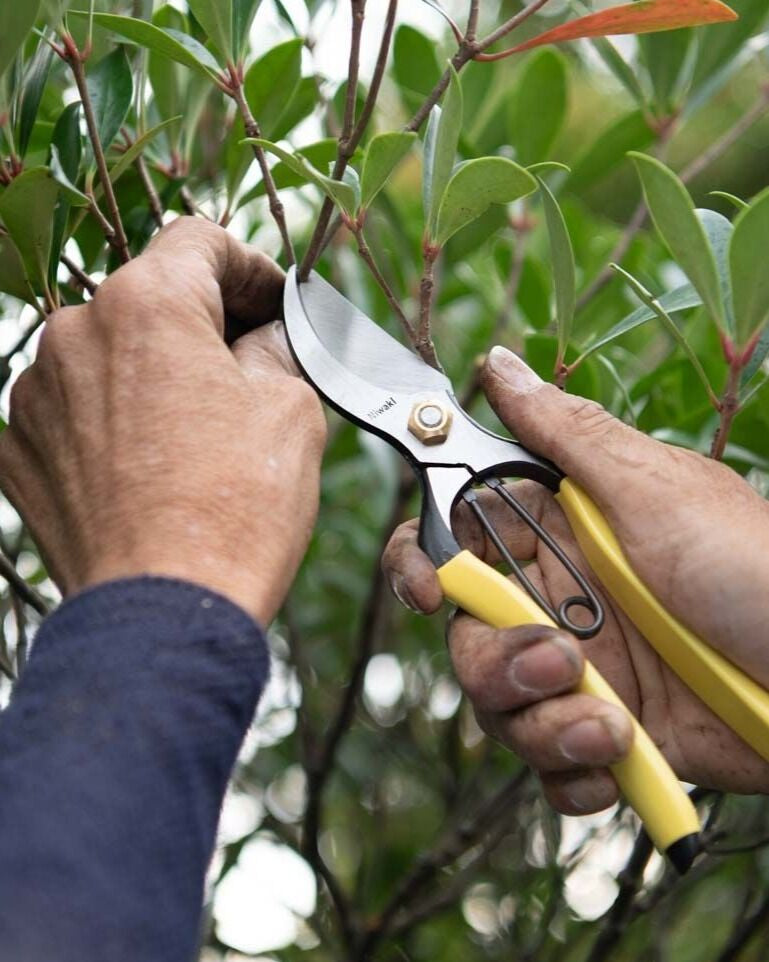 Niwaki GR Pro Secateurs