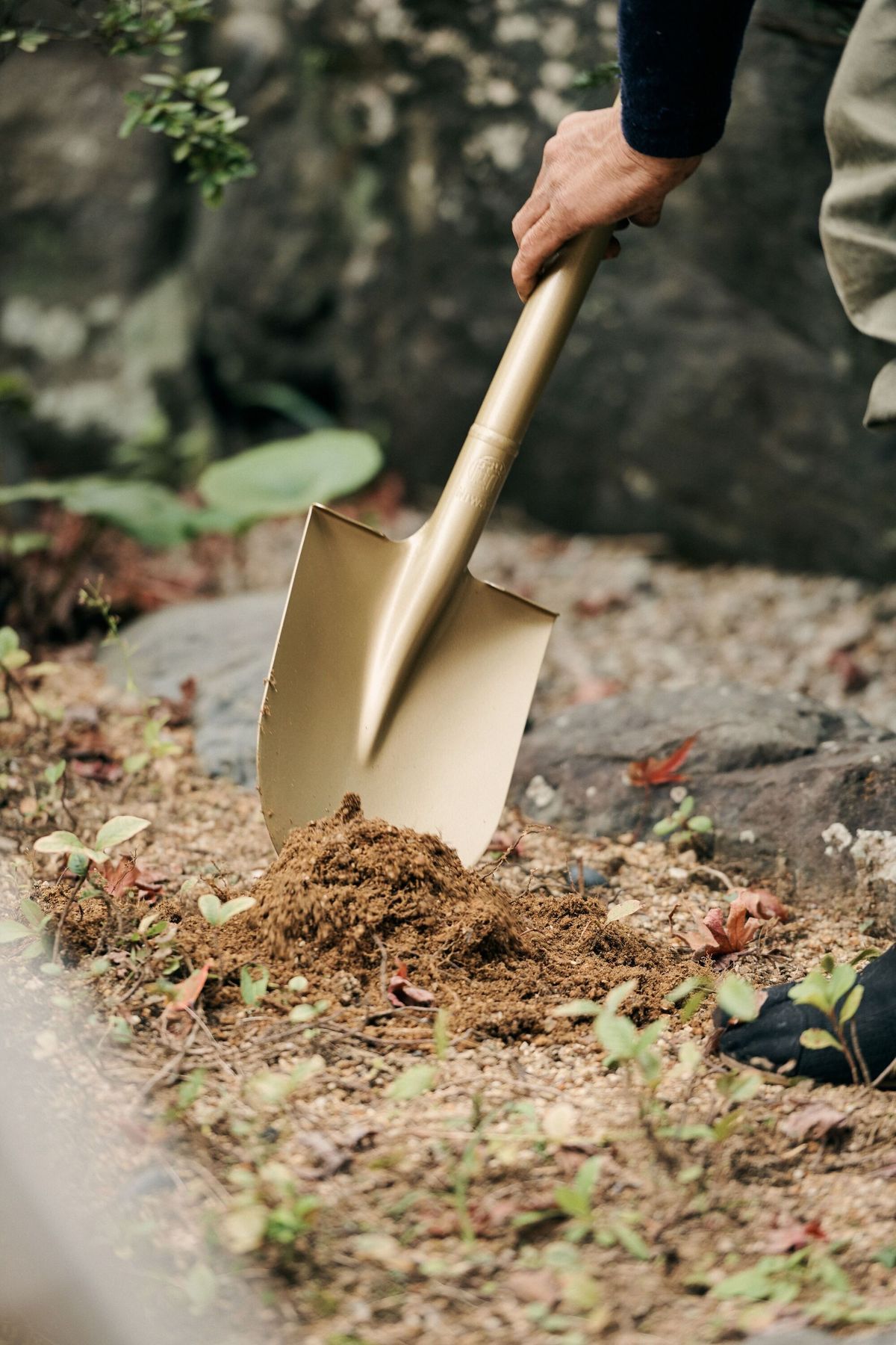 Niwaki Golden Spade