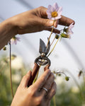 Niwaki Mini Secateurs