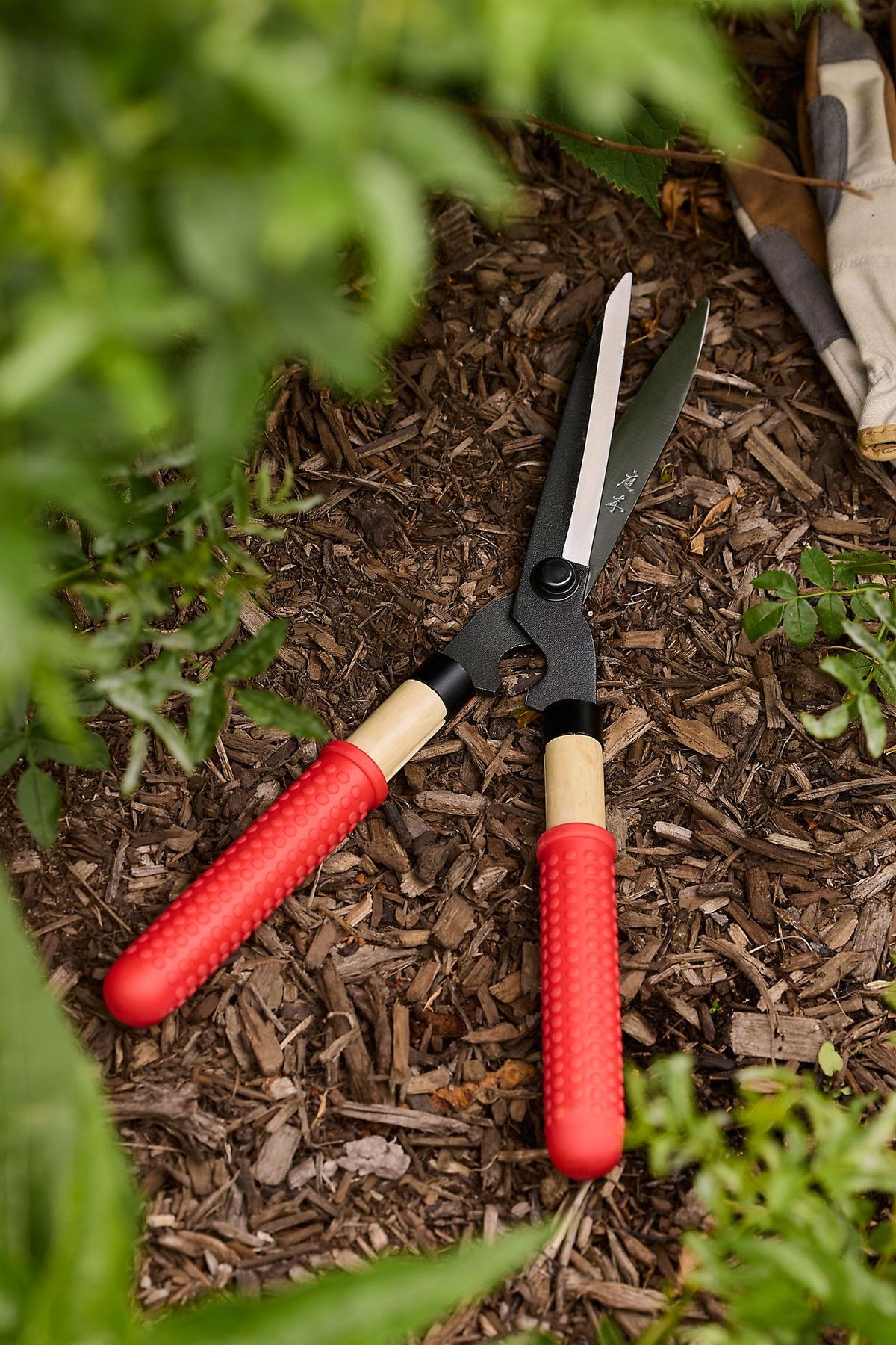 Niwaki Mini Shears
