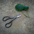Niwaki Higurashi Snips