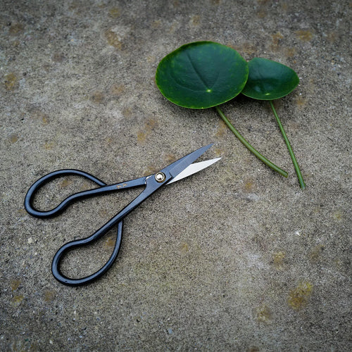 Niwaki Higurashi Snips
