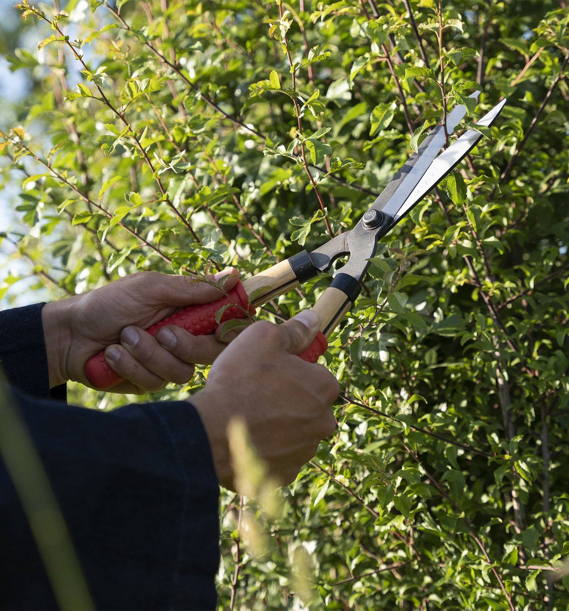 Niwaki Mini Shears