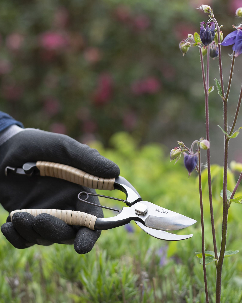 Niwaki Fujimaki Rattan Secateurs