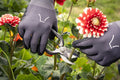 Niwaki Tokusen Secateurs 165mm